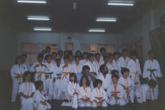 clase-de-karate-infantil-19891-1024x731