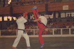 exhibicic3b3n-artes-marciales-feria-de-albacete-1981-1024x678